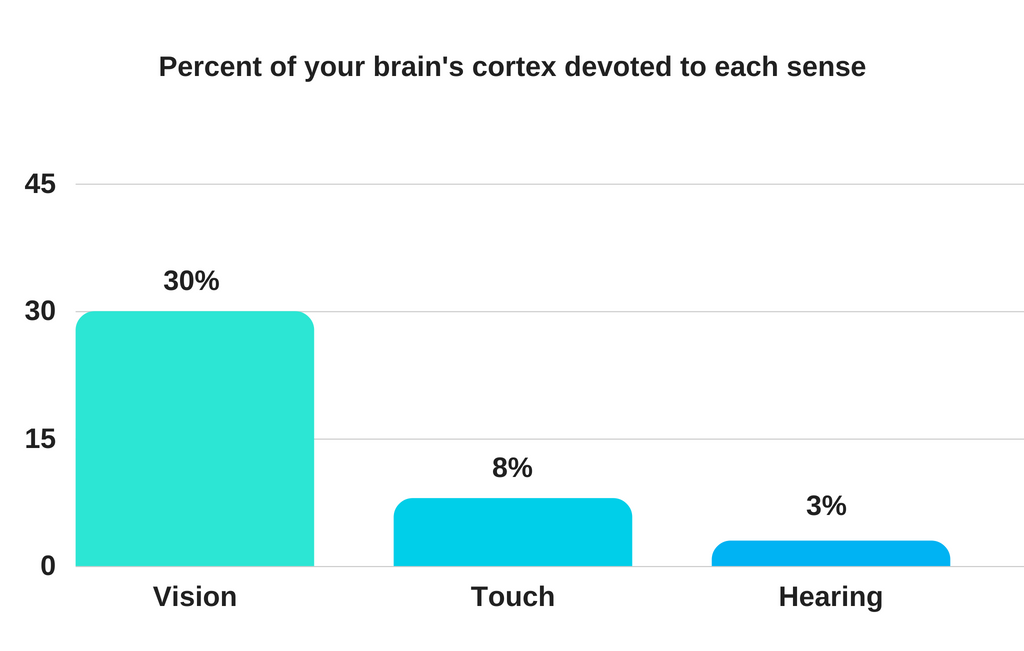 Bringing numbers to life: Percentage of your brain's cortex devoted to each sense: Vision 30%; Touch 8%; Hearing 3%